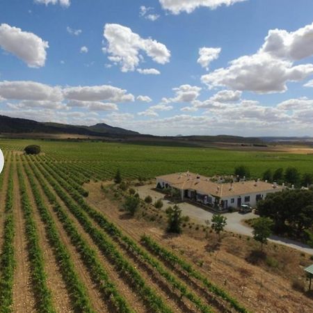 Finca El Romeral Alpera Kültér fotó