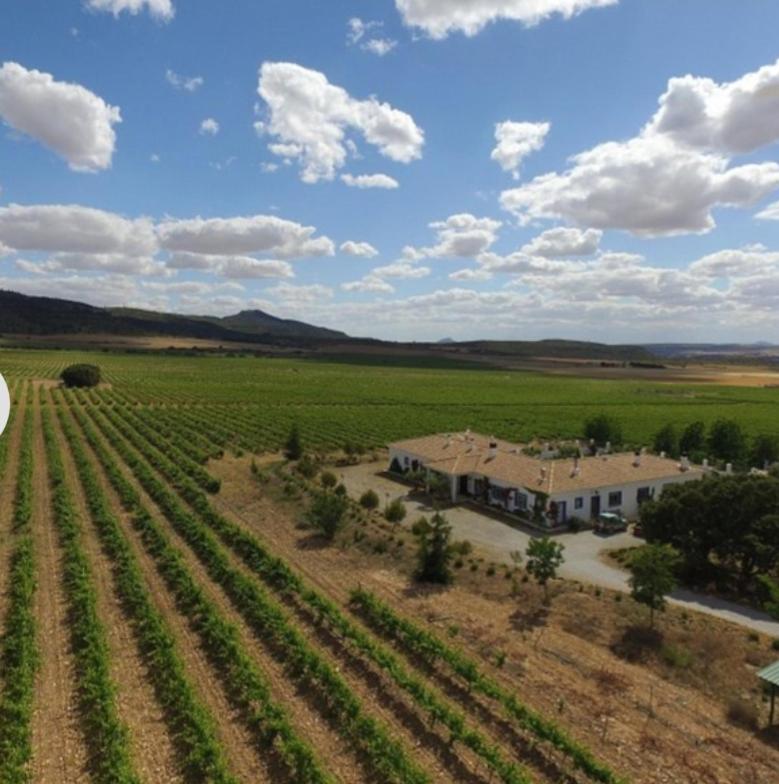 Finca El Romeral Alpera Kültér fotó