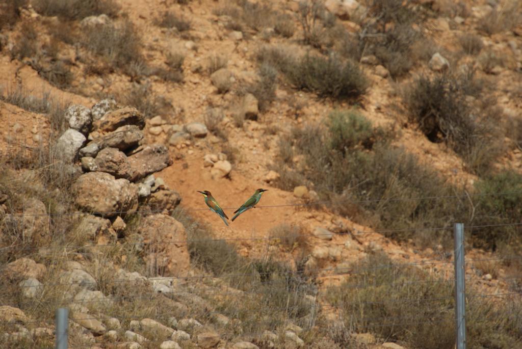 Finca El Romeral Alpera Kültér fotó
