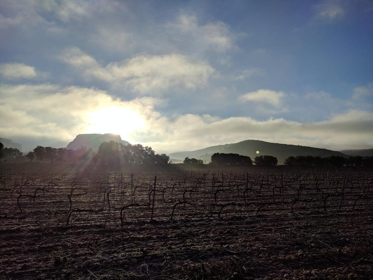 Finca El Romeral Alpera Kültér fotó