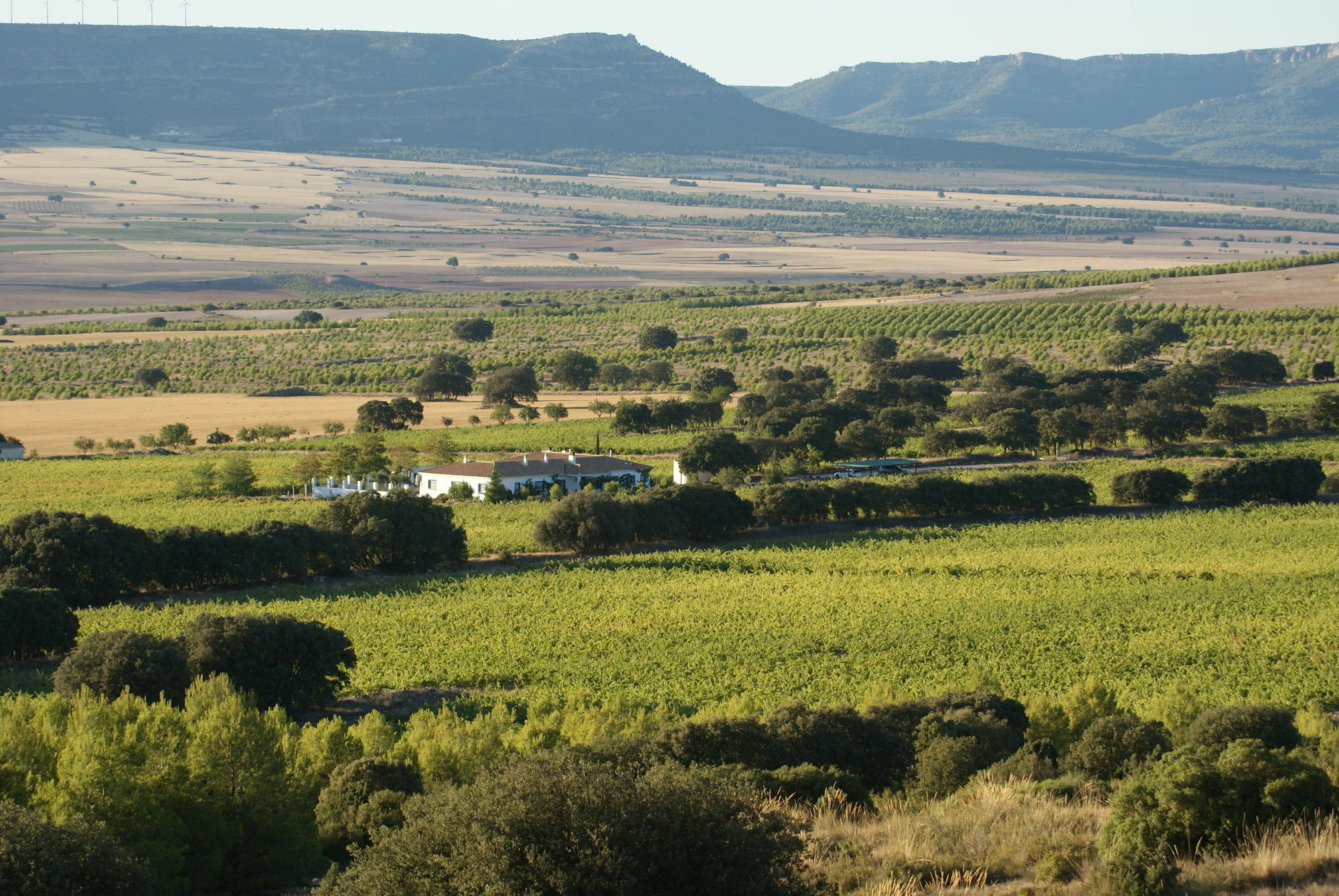 Finca El Romeral Alpera Kültér fotó