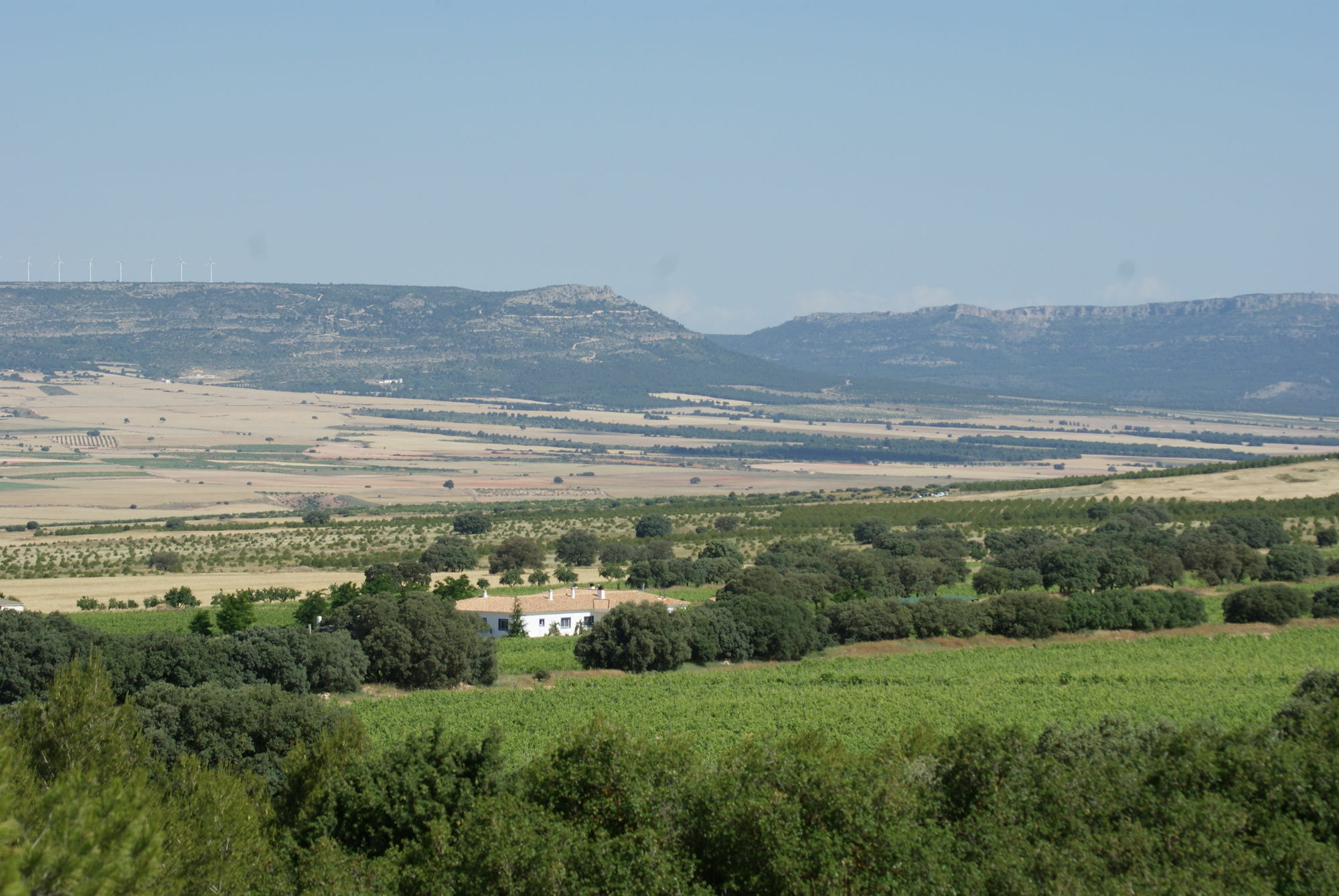 Finca El Romeral Alpera Kültér fotó