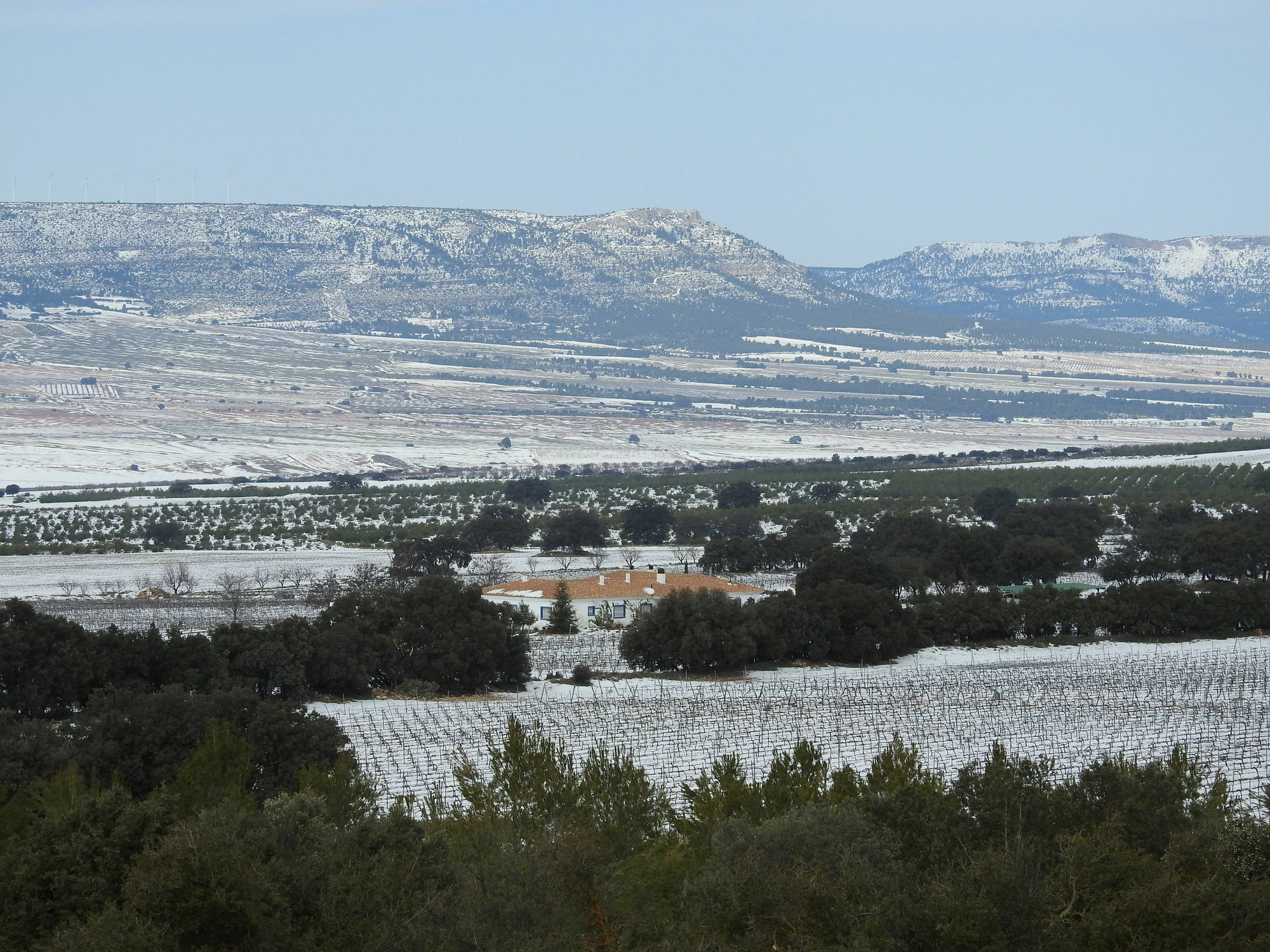 Finca El Romeral Alpera Kültér fotó